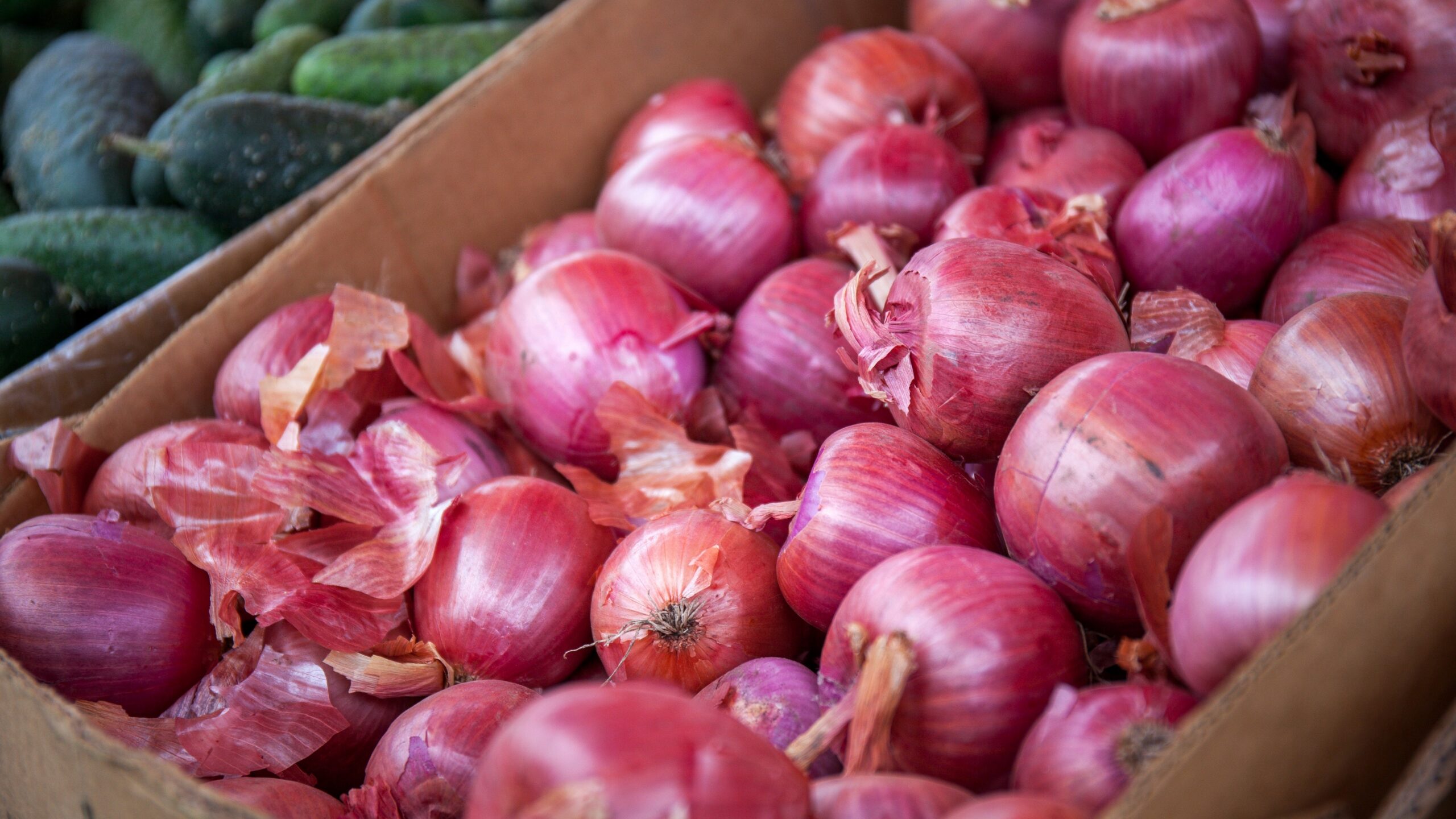 Onion