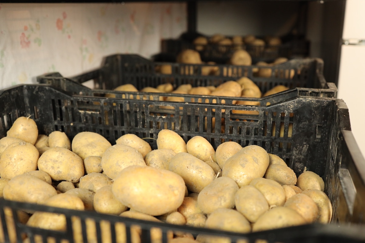 Potato Storage